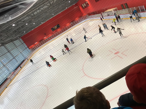 Die Spieler des EHC-Biels in action