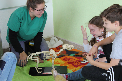 Anatomie-Stunde in der Kleintierpraxis Tiergarten