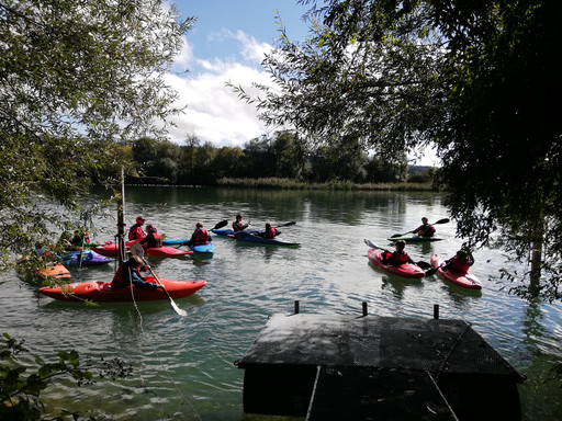 Kajak fahren auf der Aare