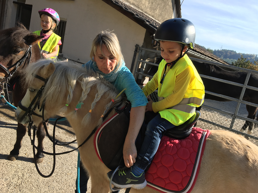 Ganzheitlicher Kontakt und Umgang mit den Ponys beim Ponyplausch in Pieterlen